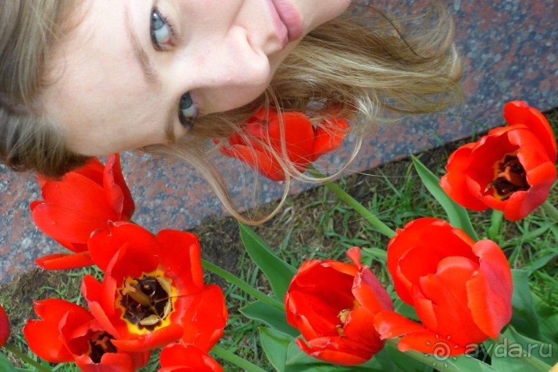 Парк Победы и Поклонная гора