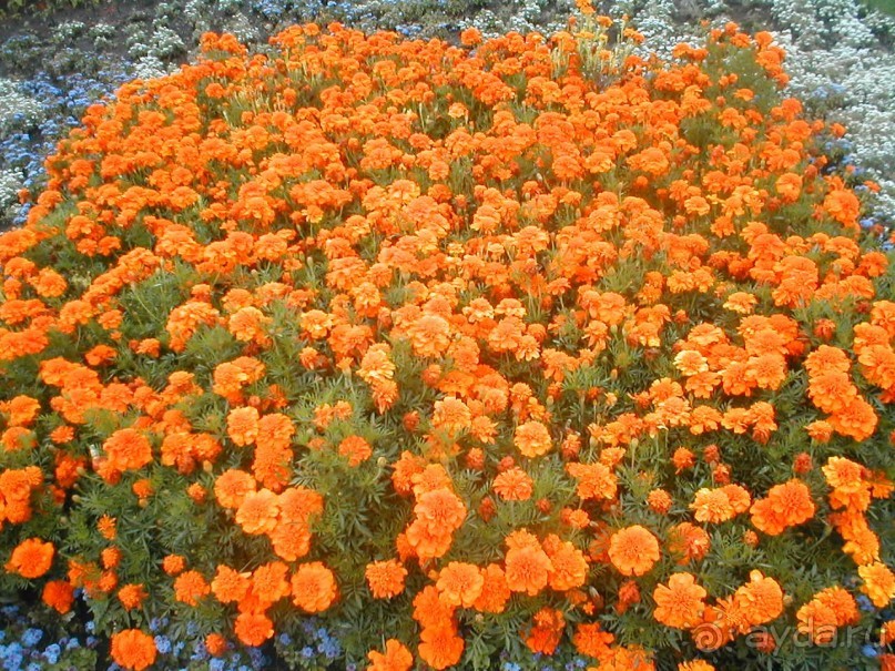 Парк Победы и Поклонная гора