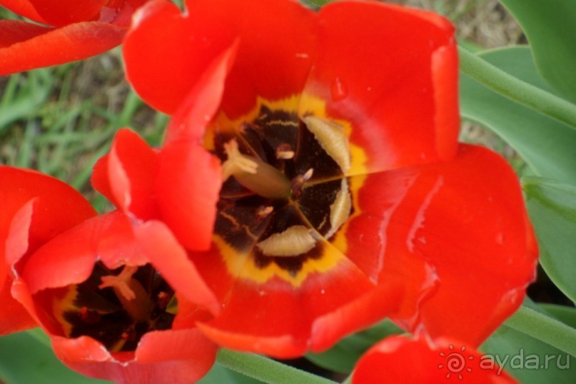 Парк Победы и Поклонная гора