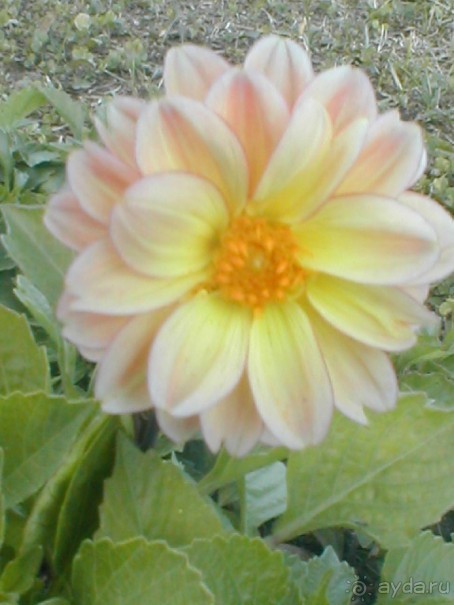 Парк Победы и Поклонная гора