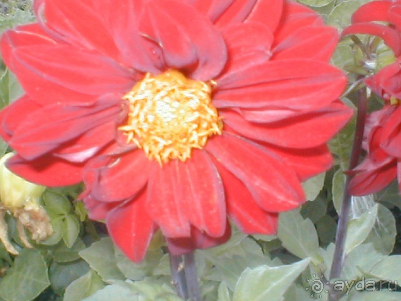 Парк Победы и Поклонная гора