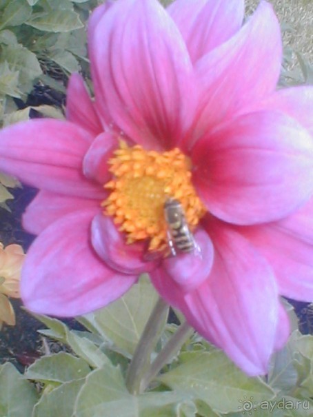 Парк Победы и Поклонная гора