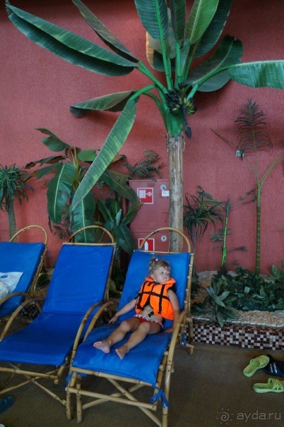 Повесилились на славу в Ква-Ква парке