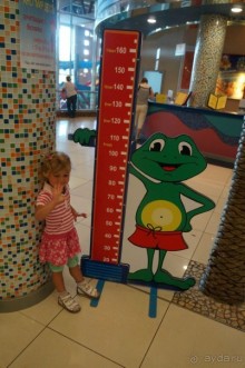 Повесилились на славу в Ква-Ква парке