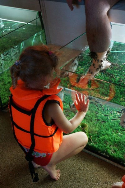 Повесилились на славу в Ква-Ква парке