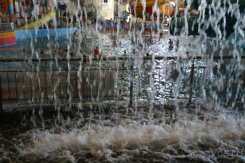 Повесилились на славу в Ква-Ква парке