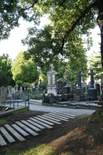 Прага, оказывается, совсем рядом)
