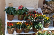 Прага, оказывается, совсем рядом)