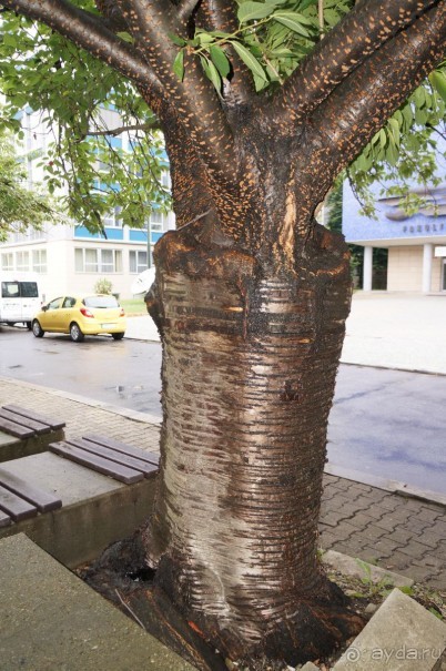 Прага, оказывается, совсем рядом)