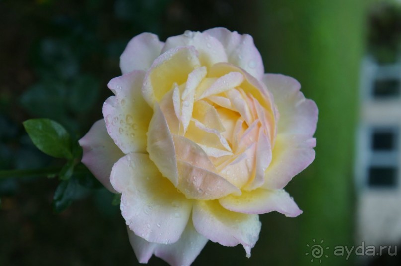 Прага, оказывается, совсем рядом)