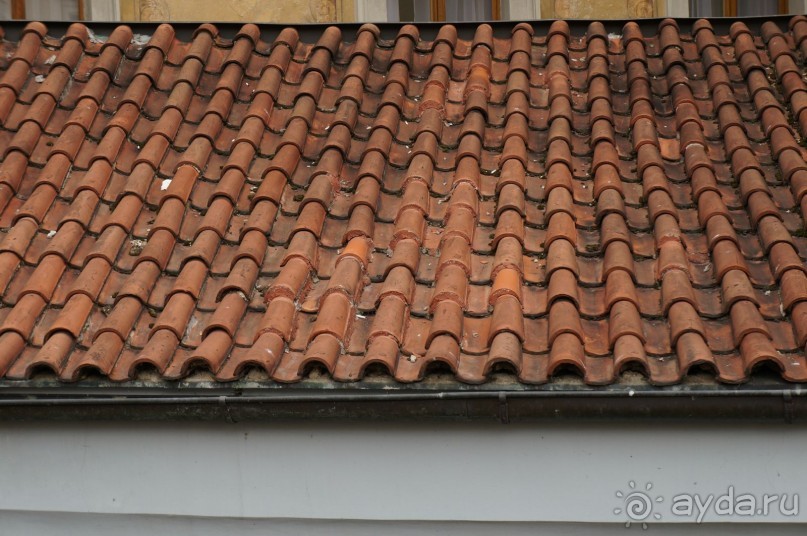 Прага, оказывается, совсем рядом)