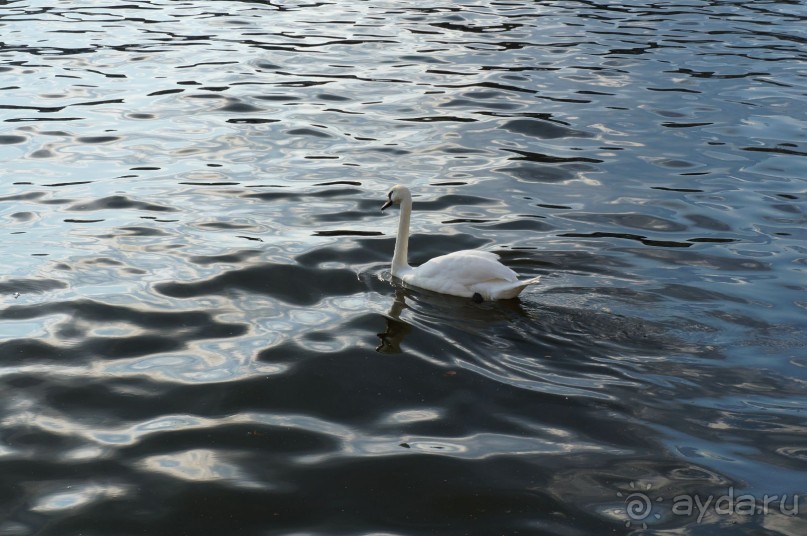 Прага, оказывается, совсем рядом)