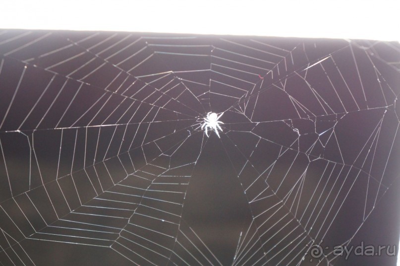 Прага, оказывается, совсем рядом)