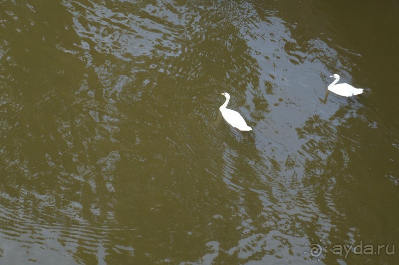 Прага, оказывается, совсем рядом)