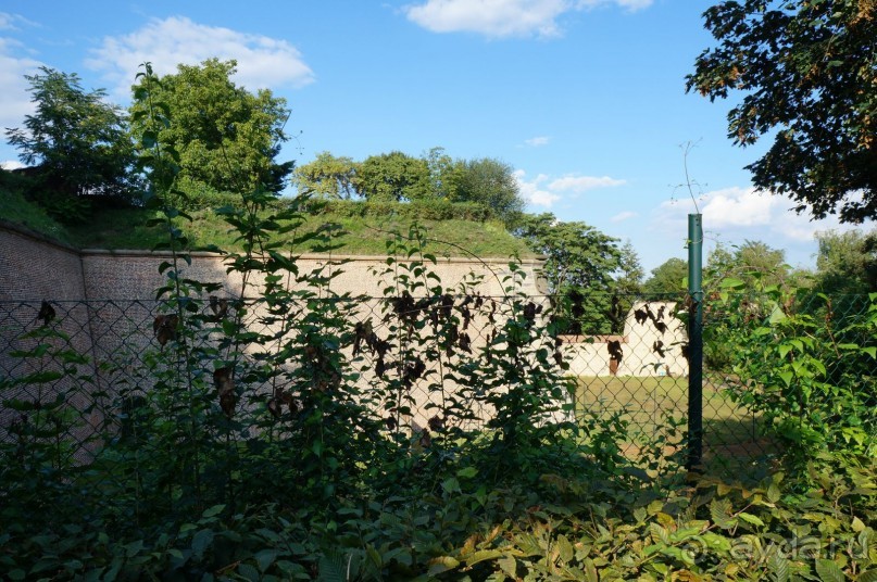 Прага, оказывается, совсем рядом)