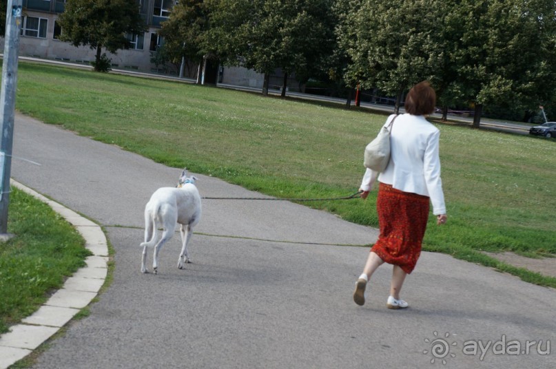 Прага, оказывается, совсем рядом)