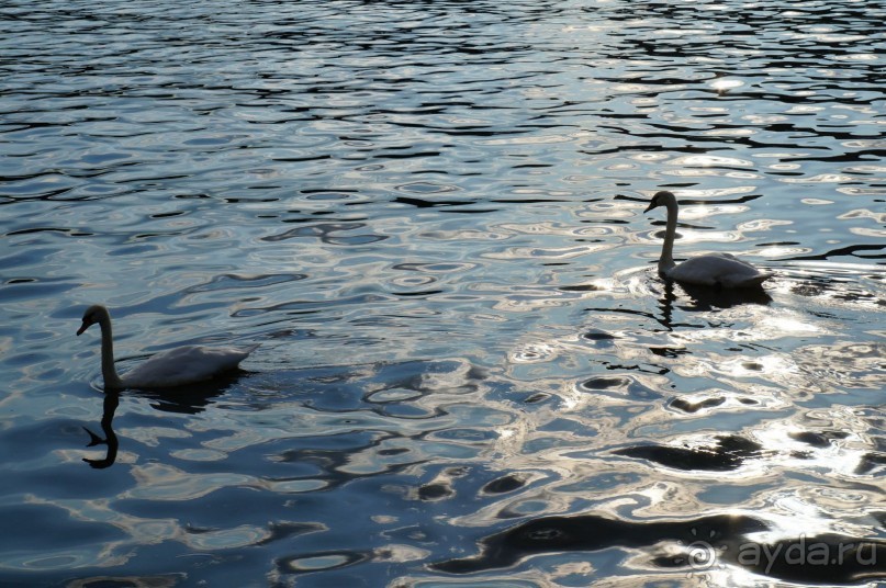 Прага, оказывается, совсем рядом)