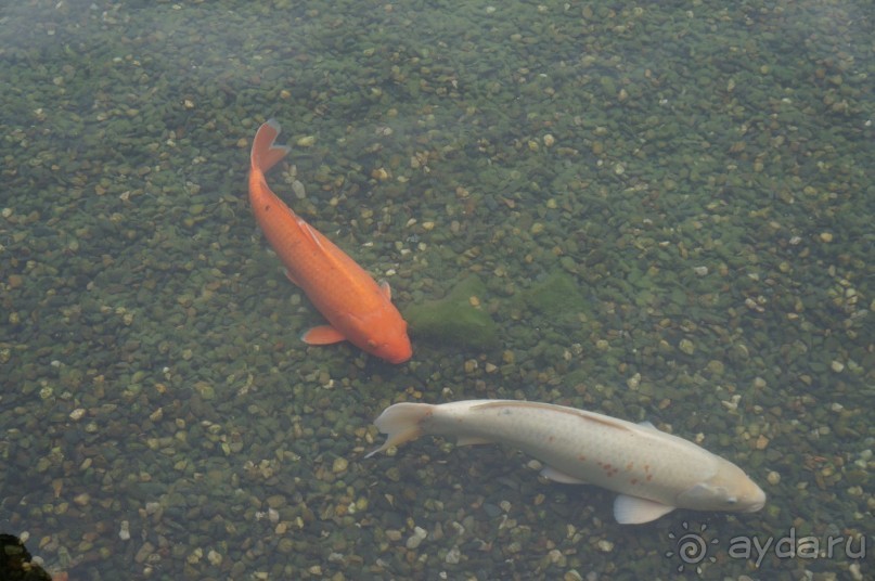 Прага, оказывается, совсем рядом)