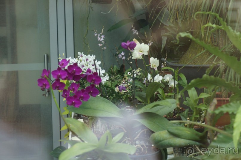 Прага, оказывается, совсем рядом)