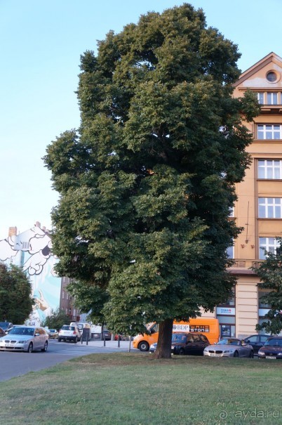 Прага, оказывается, совсем рядом)