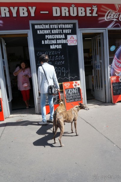 Прага, оказывается, совсем рядом)