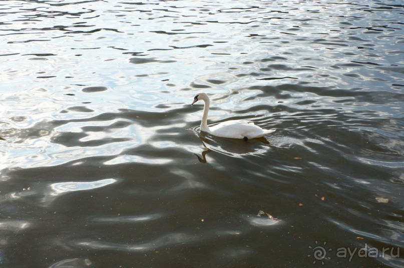 Прага, оказывается, совсем рядом)