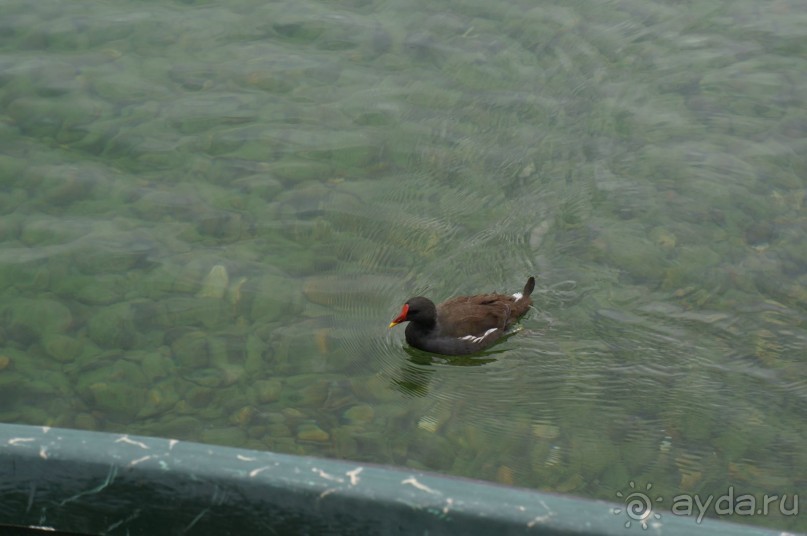 Прага, оказывается, совсем рядом)