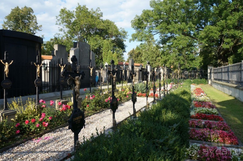 Прага, оказывается, совсем рядом)