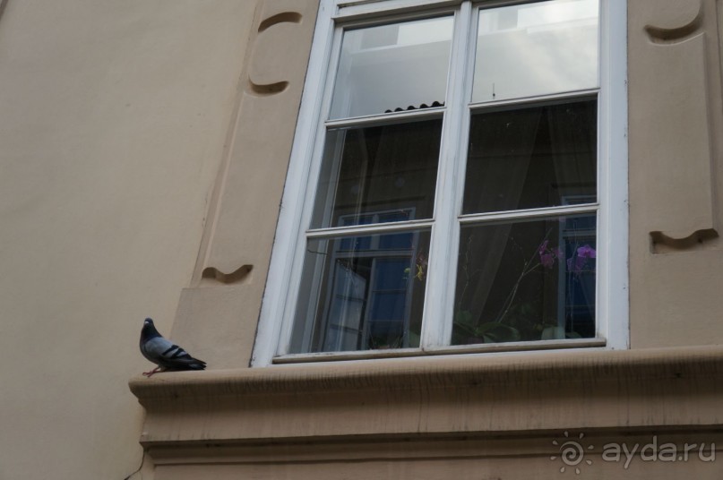 Прага, оказывается, совсем рядом)