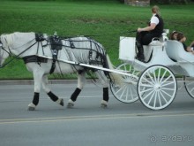 Невероятные Ниагарские водопады