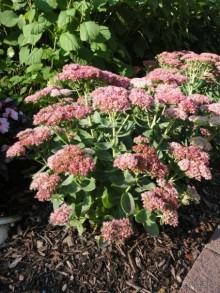 Невероятные Ниагарские водопады