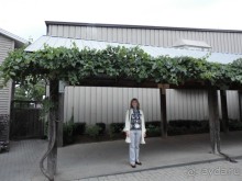 Невероятные Ниагарские водопады