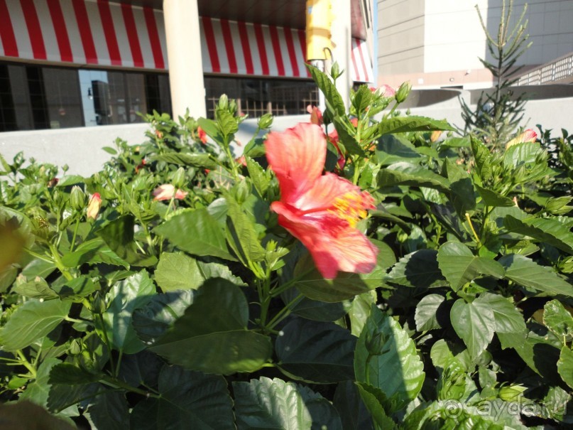 Невероятные Ниагарские водопады