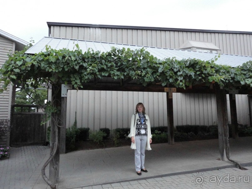 Невероятные Ниагарские водопады