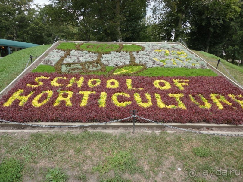 Невероятные Ниагарские водопады