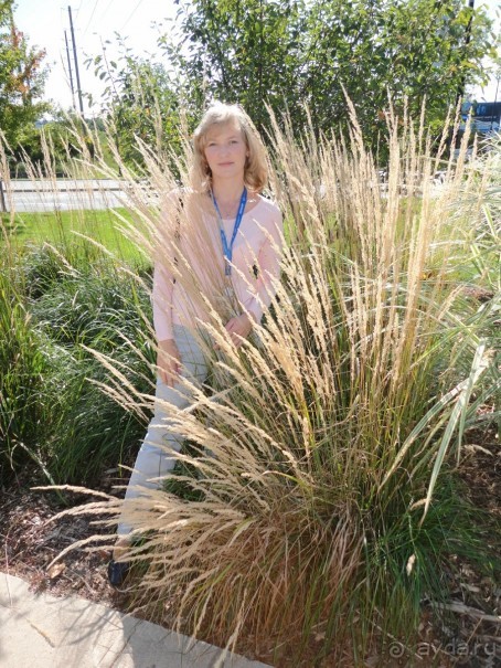 Невероятные Ниагарские водопады