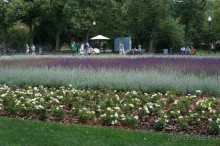 Не будет скучно в Нескучном саду