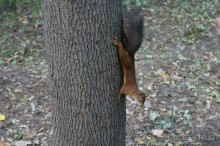 Не будет скучно в Нескучном саду
