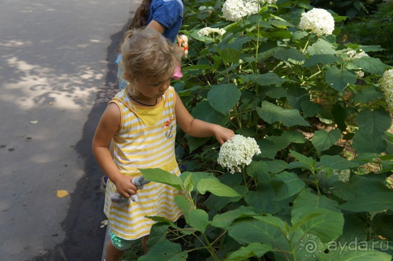 Не будет скучно в Нескучном саду