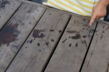 Не будет скучно в Нескучном саду