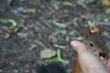 Не будет скучно в Нескучном саду