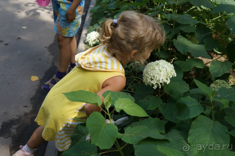 Не будет скучно в Нескучном саду