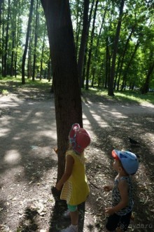 Не будет скучно в Нескучном саду