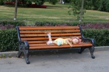 Не будет скучно в Нескучном саду
