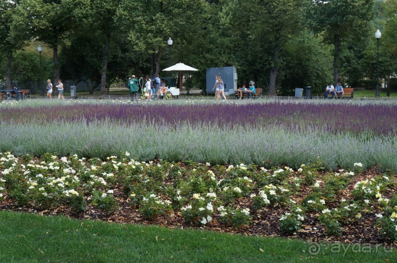 Не будет скучно в Нескучном саду Не будет скучно в Нескучном саду
