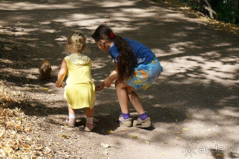 Не будет скучно в Нескучном саду Не будет скучно в Нескучном саду