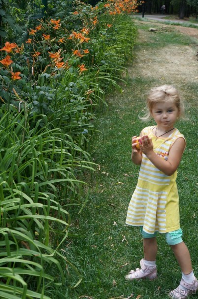 Не будет скучно в Нескучном саду Не будет скучно в Нескучном саду