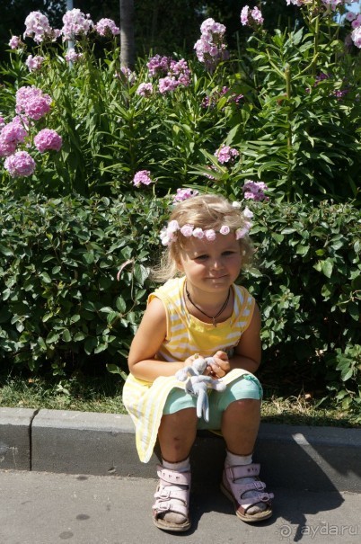 Не будет скучно в Нескучном саду Не будет скучно в Нескучном саду