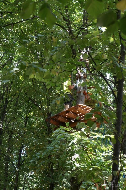 Не будет скучно в Нескучном саду Не будет скучно в Нескучном саду