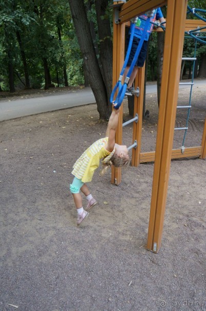 Не будет скучно в Нескучном саду Не будет скучно в Нескучном саду